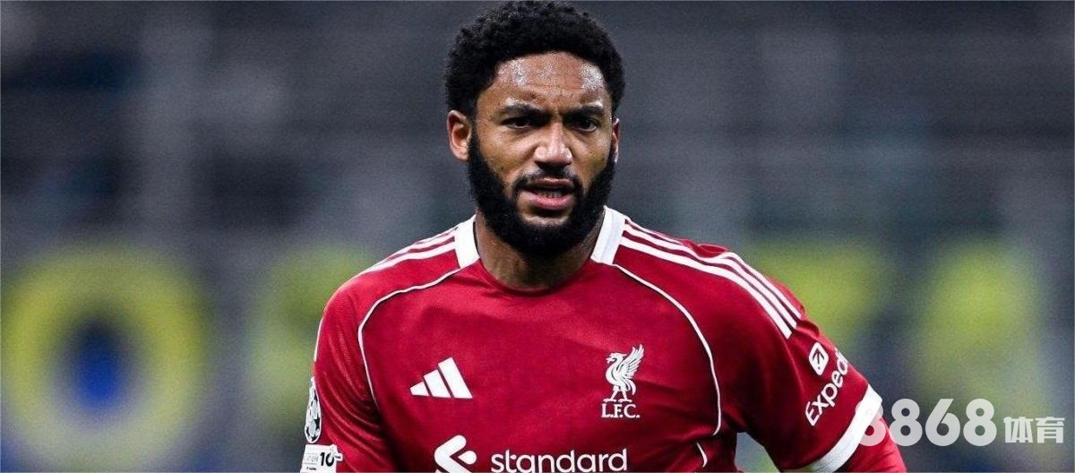 333体育 - 上海篮球赛